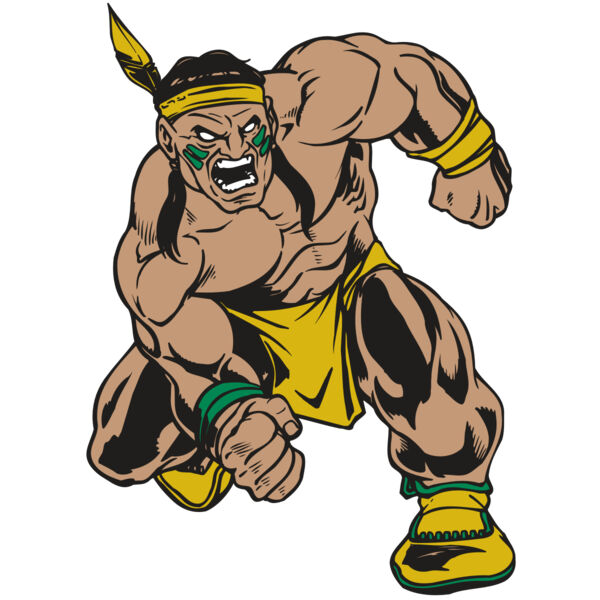 AR BRAVE 50 RC Thumbnail