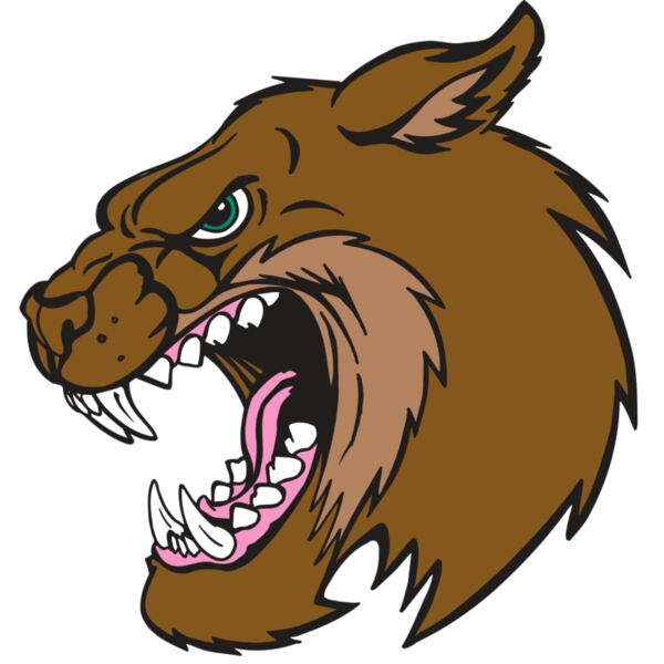 AR5 BOBCAT 18 RQC Thumbnail