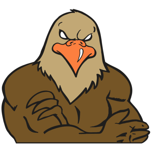 AR FALCON 26 RC Thumbnail