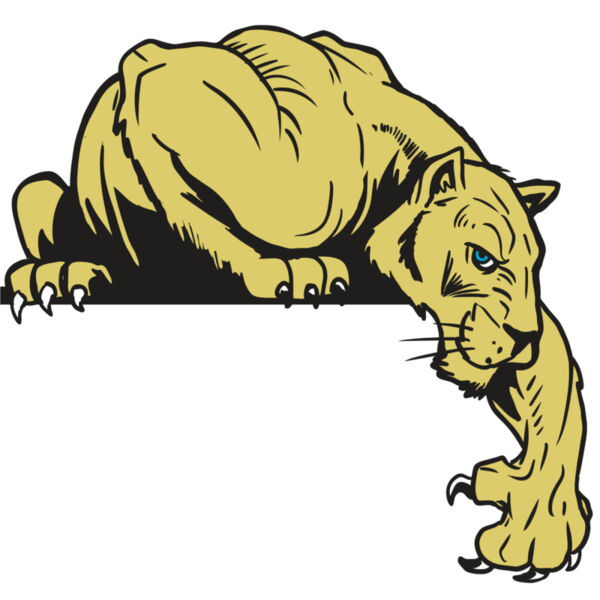 AR10 PANTHER 06 RQC Thumbnail