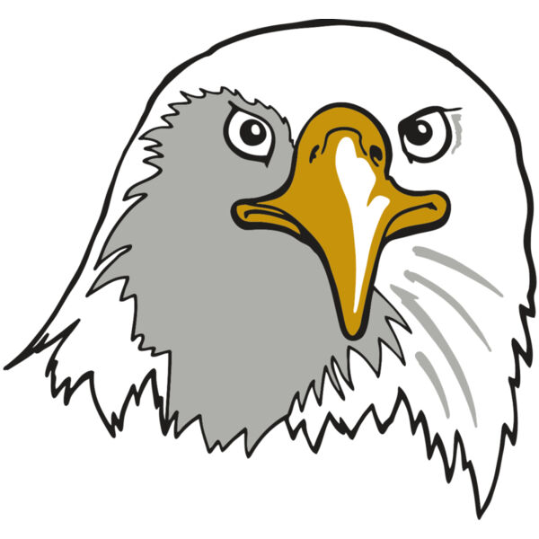 AR EAGLE 39 RC Thumbnail