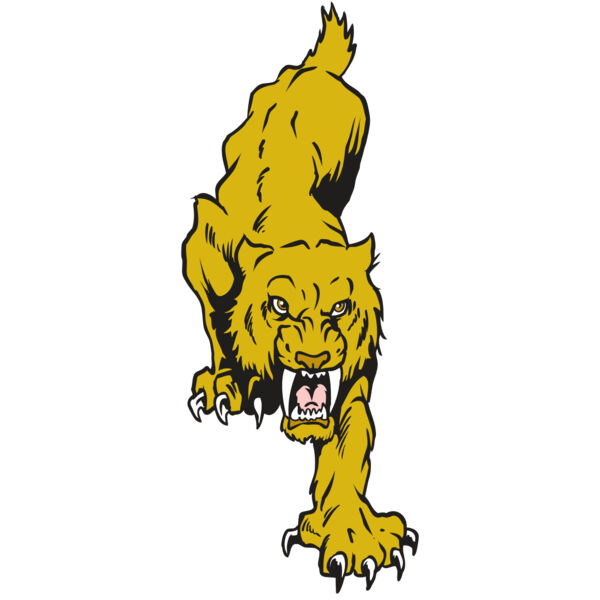 AR30 SABER 08 RQC Thumbnail