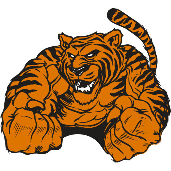 AR TIGER 55 RC Thumbnail