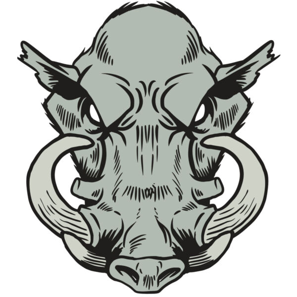 AR20 RAZORBACK 38 RQC Thumbnail